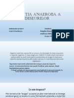 Obtinerea de Biogaz Din Deseuri Rezultate in Industria Alimentara