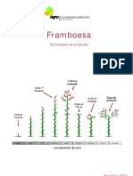 Framboesa