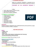 Resumen de Urologia 1 2 PDF