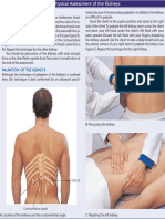 Assessment of Kidneys