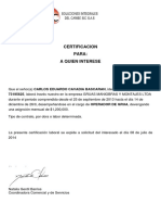 Carta Laboral