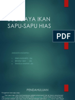 Budidaya Ikan Sapu-Sapu Hias