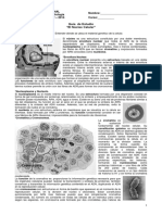 2 Biología Guía de El Núcleo Celular