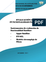 Evaluacion de La Funcionalidad Familiar