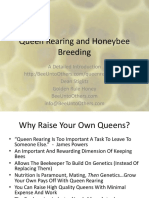 Queen Rearing and HoneyBee Breeding