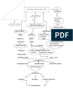 Mapa Conceptual 1