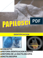 Diapositivas Palmatos