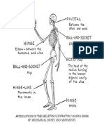 Articulation S