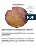 Informe Patologia