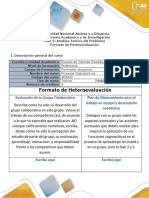 8 - Formato Heteroevaluación