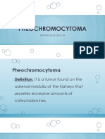 PHEOCHROMOCYTOMA