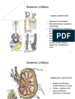 4 - Aula Linfáticos