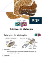 Princípios Da Malteação