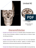 Corticotomía y Exposición Quirúrgica