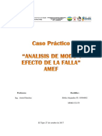 Caso Prectico Amef