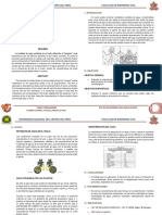 Resumen 2 - Relaciones Agua Suelo Planta