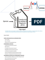 Entrenamiento Funcional I