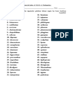 Examen Etimología 4ºESO 1