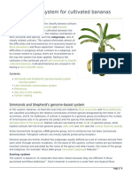 Nomenclature of Cultivated Bananas