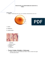 A Célula Como Unidade Básica Da Biodiversidade Existente Na Terra