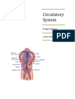 Circulatory System: Project Report