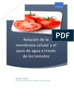 Relación de La Membrana Celular y El Paso Del Agua A Través Del Tomate