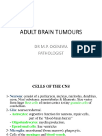 Adult Brain Tumours: DR M.P. Okemwa Pathologist