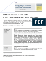 2010 Distribución Intraneural Del Nervio Cubital