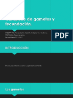 Transporte de Gametos y Fecundación