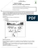 Guia 1° Medio de Flujo de Materia y Energia