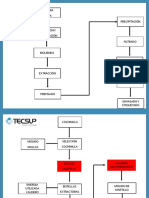 Diagrama de Proceso de Extraccion Del Carminn