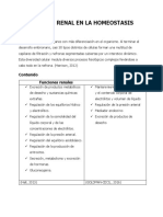 Funcion Renal en La Homeostasis