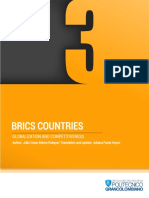 Brics Countries: Globalization and Competitiveness