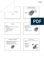 The Cell: The Cytoplasm and Nucleus: Cytoplasmic Organelles Mitochondria