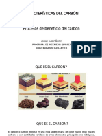 Caracteristicas Del Carbón