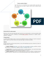 Cadena Epidemiológica