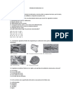 Prueba de Biologia 3 de M