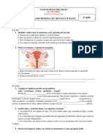 Evaluacion Octavo