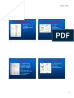 Knee Joint PDF