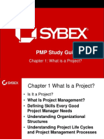 PMP Study Guide: Chapter 1: What Is A Project?