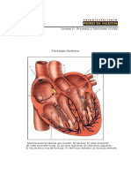 Fisiologia Cardiaca