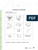 Vertebredos y Invertebrados 2°