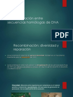 2017 Recombinación de DNA