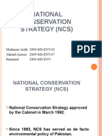 National Conservation Strategy (NCS)