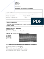 Evaluacion 8vo Celula Membrana Plasmática