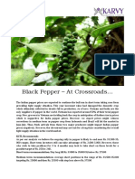 Black Pepper - at Crossroads : KCTL Recommends