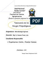 Taxonomia Hongos Fitopatógenos - Chuquihuaraca