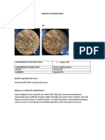 Analisis en Microscopio