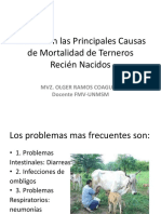 Enfermedades en Terneros