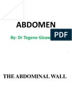 Abdomen: By: DR Tegene Gizaw (MD)